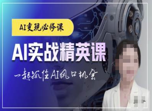 AI实战精英课，chatgptAI实战教程，一起抓住AI风口的机会-赚金金-技能学习分享