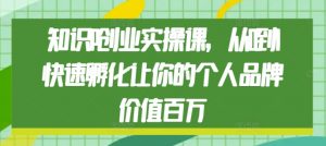 知识IP创业实操课,从0到1快速孵化让你的个人品牌价值百万-赚金金-技能学习分享