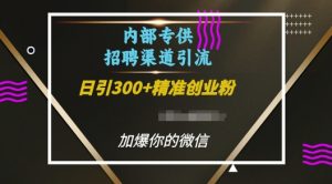 内部招聘渠道日引流300+创业粉,加爆你的微信【揭秘】-赚金金-技能学习分享