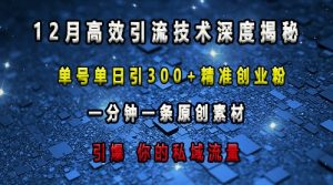 最新高效引流技术深度揭秘 ,单号单日引300+精准创业粉,一分钟一条原创素材,引爆你的私域流量-赚金金-技能学习分享