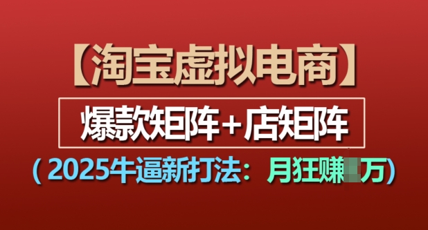淘宝虚拟电商，2025牛逼新打法：爆款矩阵+店矩阵，月入过万-赚金金-技能学习分享