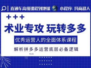 术业专攻玩转多多,优秀运营人的全面体系课程,解析拼多多运营底层必备逻辑-赚金金-技能学习分享
