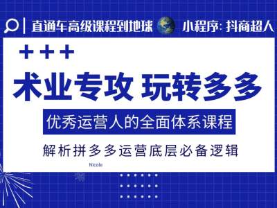 术业专攻玩转多多,优秀运营人的全面体系课程,解析拼多多运营底层必备逻辑-赚金金-技能学习分享