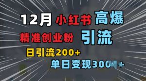 小红书一张图片“引爆”创业粉,单日+200+精准创业粉 可筛选付费意识创业粉【揭秘】-赚金金-技能学习分享