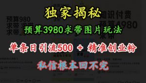 预算3980求带 图片玩法，单条日引流500+精准创业粉，私信根本回不完-赚金金-技能学习分享