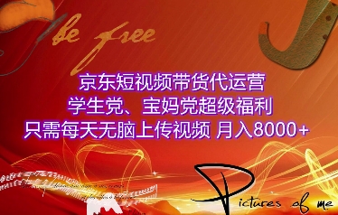 京东短视频带货代运营，学生党、宝妈党超级福利，只需每天无脑上传视频，月入8000+【仅揭秘】-赚金金-技能学习分享