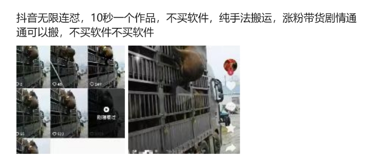抖音无限连怼,10秒一个作品不买软件,纯手法搬运,涨粉带货剧情通通可以搬-赚金金-技能学习分享