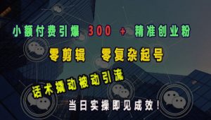 小额付费引爆 300 + 精准创业粉,零剪辑、零复杂起号,话术撬动被动引流,当日实操即见成效-赚金金-技能学习分享