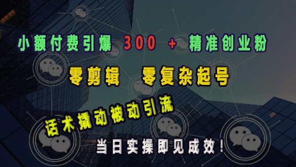 小额付费引爆 300 + 精准创业粉，零剪辑、零复杂起号，话术撬动被动引流，当日实操即见成效-赚金金-技能学习分享
