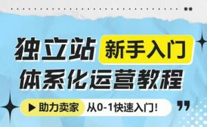 独立站新手入门体系化运营教程,助力独立站卖家从0-1快速入门!-赚金金-技能学习分享