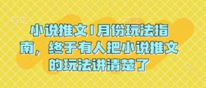 小说推文1月份玩法指南，终于有人把小说推文的玩法讲清楚了!-赚金金-技能学习分享