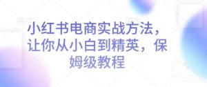 小红书电商实战方法,让你从小白到精英,保姆级教程-赚金金-技能学习分享
