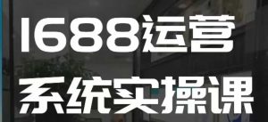 1688高阶运营系统实操课,快速掌握1688店铺运营的核心玩法-赚金金-技能学习分享