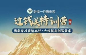 剽悍一只猫-过钱关特训营,学习营销真经 大幅度提高创富效率-赚金金-技能学习分享