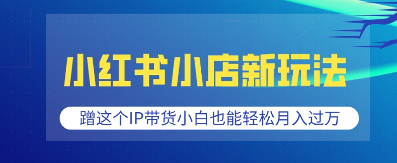 小红书小店新玩法,蹭这个IP带货,小白也能轻松月入过W【揭秘】-赚金金-技能学习分享