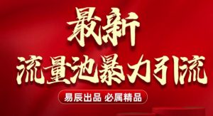 最新“流量池”无门槛暴力引流(全网首发)日引500+-赚金金-技能学习分享