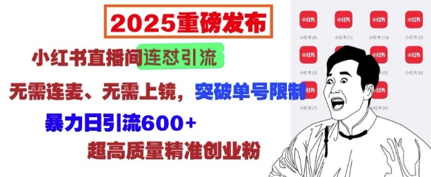 2025重磅发布:小红书直播间连怼引流,无需连麦、无需上镜,突破单号限制,暴力日引流600+-赚金金-技能学习分享
