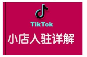 TikTok跨境小店运营全攻略,帮助你独立运营TK跨境小店的能力,实现销量增长-赚金金-技能学习分享