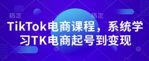 TikTok电商课程,系统学习TK电商起号到变现-赚金金-技能学习分享