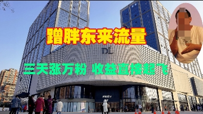 蹭胖东来流量，三天涨万粉，收益直接起飞-赚金金-技能学习分享