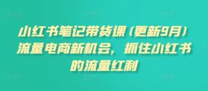 小红书笔记带货课(更新25年1月)流量电商新机会,抓住小红书的流量红利-赚金金-技能学习分享