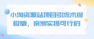 小淘资源站项目引流术终极版,亲测实操可行的-赚金金-技能学习分享
