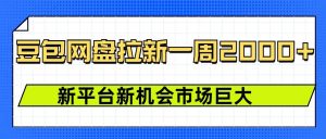 豆包网盘拉新,一周2k,新平台新机会-赚金金-技能学习分享