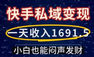 一天收入1691.5,快手私域变现,小白也能闷声发财-赚金金-技能学习分享