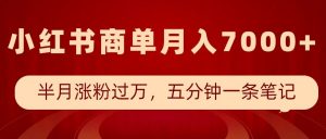 小红书商单最新玩法,半个月涨粉过万,五分钟一条笔记,月入7000+-赚金金-技能学习分享