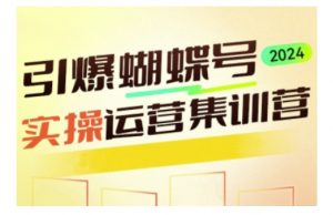 引爆蝴蝶号实操运营,助力你深度掌握蝴蝶号运营,实现高效实操,开启流量变现之路-赚金金-技能学习分享