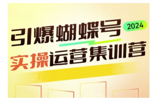 引爆蝴蝶号实操运营，助力你深度掌握蝴蝶号运营，实现高效实操，开启流量变现之路-赚金金-技能学习分享