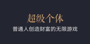 超级个体:2024-2025翻盘指南,普通人创造财富的无限游戏-赚金金-技能学习分享