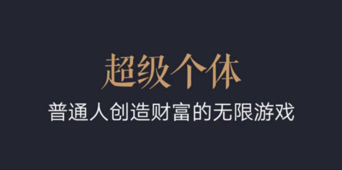 超级个体：2024-2025翻盘指南，普通人创造财富的无限游戏-赚金金-技能学习分享