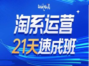 淘系运营21天速成班35期，年前最后一波和2025方向-赚金金-技能学习分享