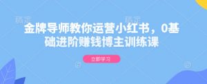 金牌导师教你运营小红书,0基础进阶赚钱博主训练课-赚金金-技能学习分享
