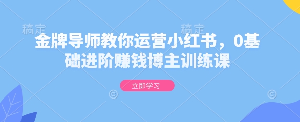 金牌导师教你运营小红书，0基础进阶赚钱博主训练课-赚金金-技能学习分享