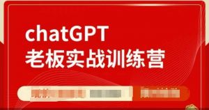 ChatGPT老板实战训练营,用GPT带飞,一人顶一个团队-赚金金-技能学习分享