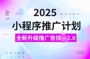 2025小程序推广计划，全新升级撸广告挂JI2.0玩法，日入多张，小白可做【揭秘】-赚金金-技能学习分享