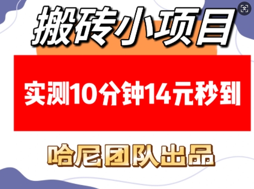 搬砖小项目，实测10分钟14元秒到，每天稳定几张(赠送必看稳定)-赚金金-技能学习分享