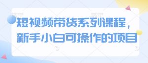 短视频带货系列课程,新手小白可操作的项目-赚金金-技能学习分享