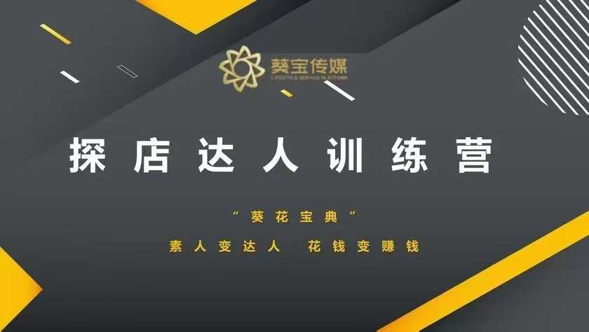 探店达人训练营，素人变达人，花钱变赚钱-赚金金-技能学习分享