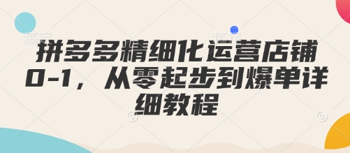 拼多多精细化运营店铺0-1，从零起步到爆单详细教程-赚金金-技能学习分享