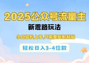 2025公双号流量主新思路玩法，小白轻松上手，只需要复制粘贴，轻松日入3-4位数-赚金金-技能学习分享
