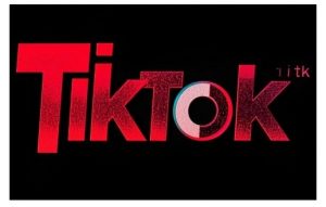 TikTok ads投流秘籍,涵盖tiktok整体投放思路,教你搭建测试计划-赚金金-技能学习分享