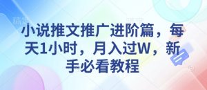 小说推文推广进阶篇,每天1小时,月入过W,新手必看教程-赚金金-技能学习分享
