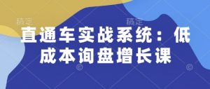 直通车实战系统:低成本询盘增长课,让个人通过技能实现升职加薪,让企业低成本获客,订单源源不断-赚金金-技能学习分享