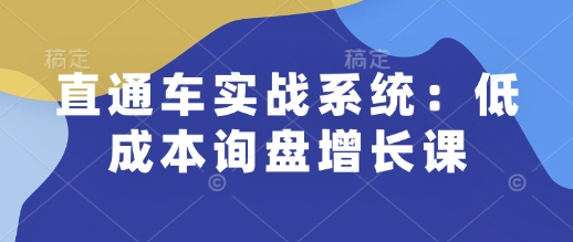 直通车实战系统：低成本询盘增长课，让个人通过技能实现升职加薪，让企业低成本获客，订单源源不断-赚金金-技能学习分享