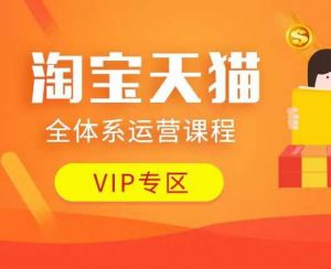 淘宝天猫全体系运营课程：店铺全系运营、动销玩法、付费推广、流量提升、擦边球玩法等等-赚金金-技能学习分享