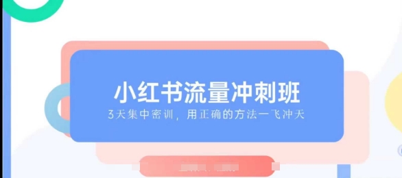 小红书流量冲刺班2025，最懂小红书的女人，快速教你2025年入局小红书-赚金金-技能学习分享