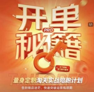 淘宝开单秘籍PRO,量身定制淘天实战陪跑计划,告别做店迷茫、快速突破运营瓶颈期-赚金金-技能学习分享